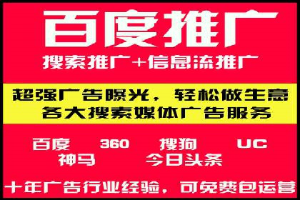 某电商平台的SEM运营实战与效果分析